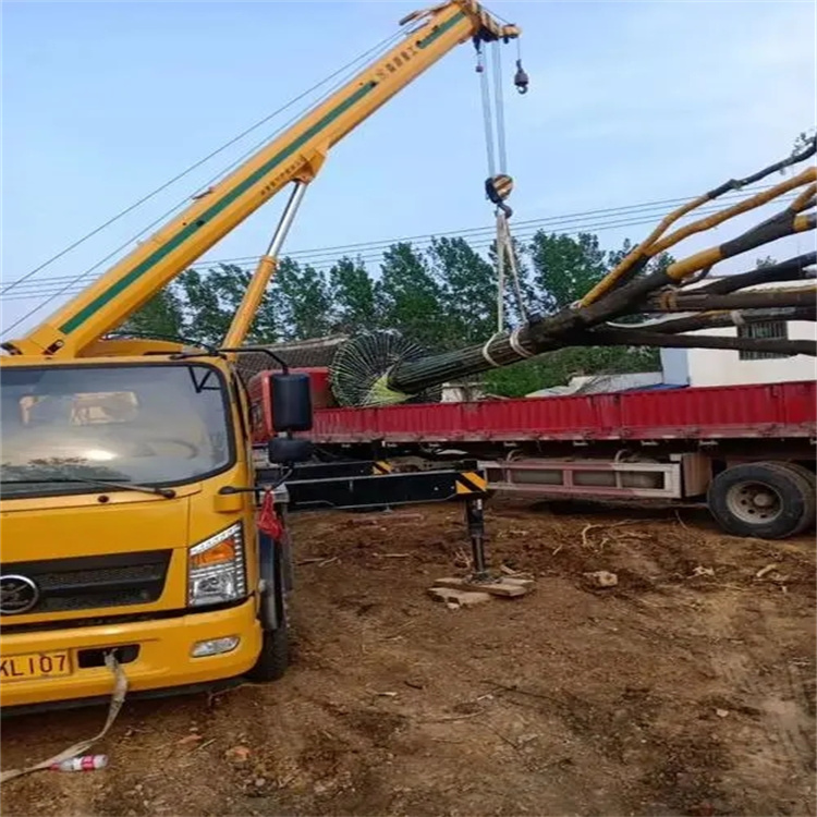 樊城100吨吊车租赁费用怎么算？3大关键因素+省钱技巧全解析